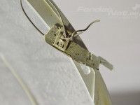 Volkswagen Golf 6 Tagapamper Запчасть код: 5K6807421  GRU
Тип кузова: 5-ust ...
