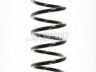 Ford Focus 1998-2004 ПРУЖИНА ПРУЖИНА для FORD FOCUS (DAW/DBW/DNW/DFW) Местоп...