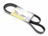 Peugeot 206 1998-2012 ПОЛИКЛИНОВОЙ РЕМЕНЬ ПОЛИКЛИНОВОЙ РЕМЕНЬ для PEUGEOT 206 (2_) Количе...