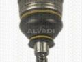 Seat Marbella, Terra 1986-1998 ШАРОВАЯ ОПОРА РЫЧАГА ШАРОВАЯ ОПОРА РЫЧАГА для SEAT MARBELLA/TERRA (2...